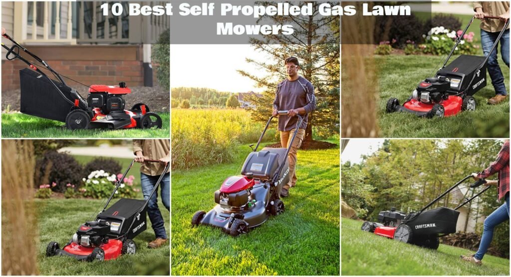 Best Self Propelled Gas Lawn Mowers Haute Life Hub