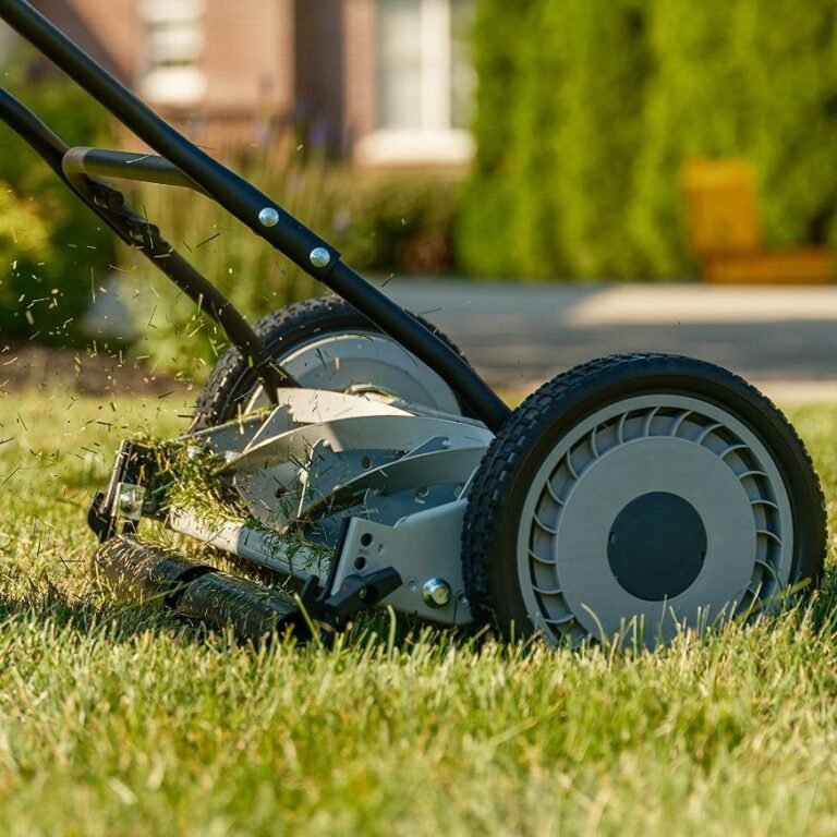 The 10 Best Reel Mowers Haute Life Hub