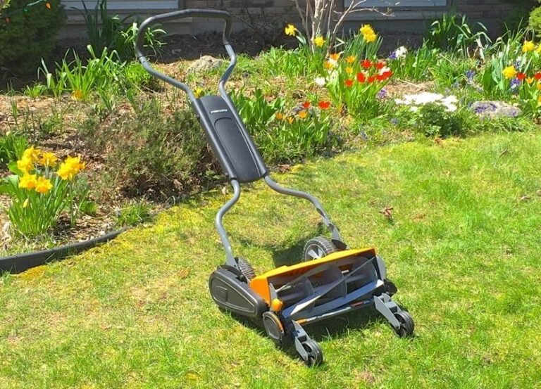 The 10 Best Reel Mowers Haute Life Hub