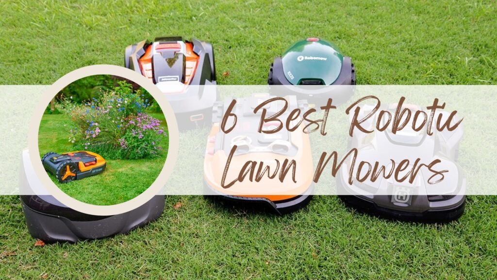 6 Best Robotic Lawn Mowers Haute Life Hub