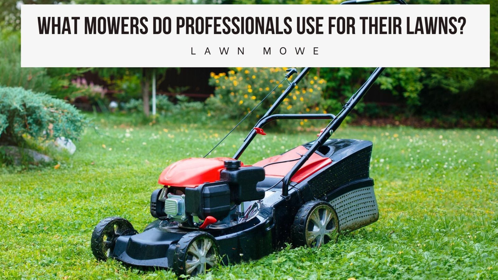 What Mowers Do Professionals Use For Their Lawns? - Haute Life Hub