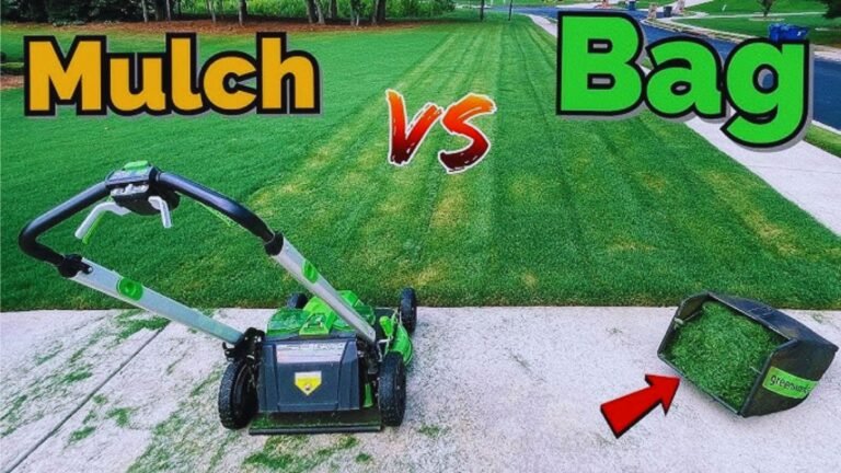 mulching vs. bagging