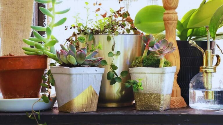 5 Creative DIY Planters