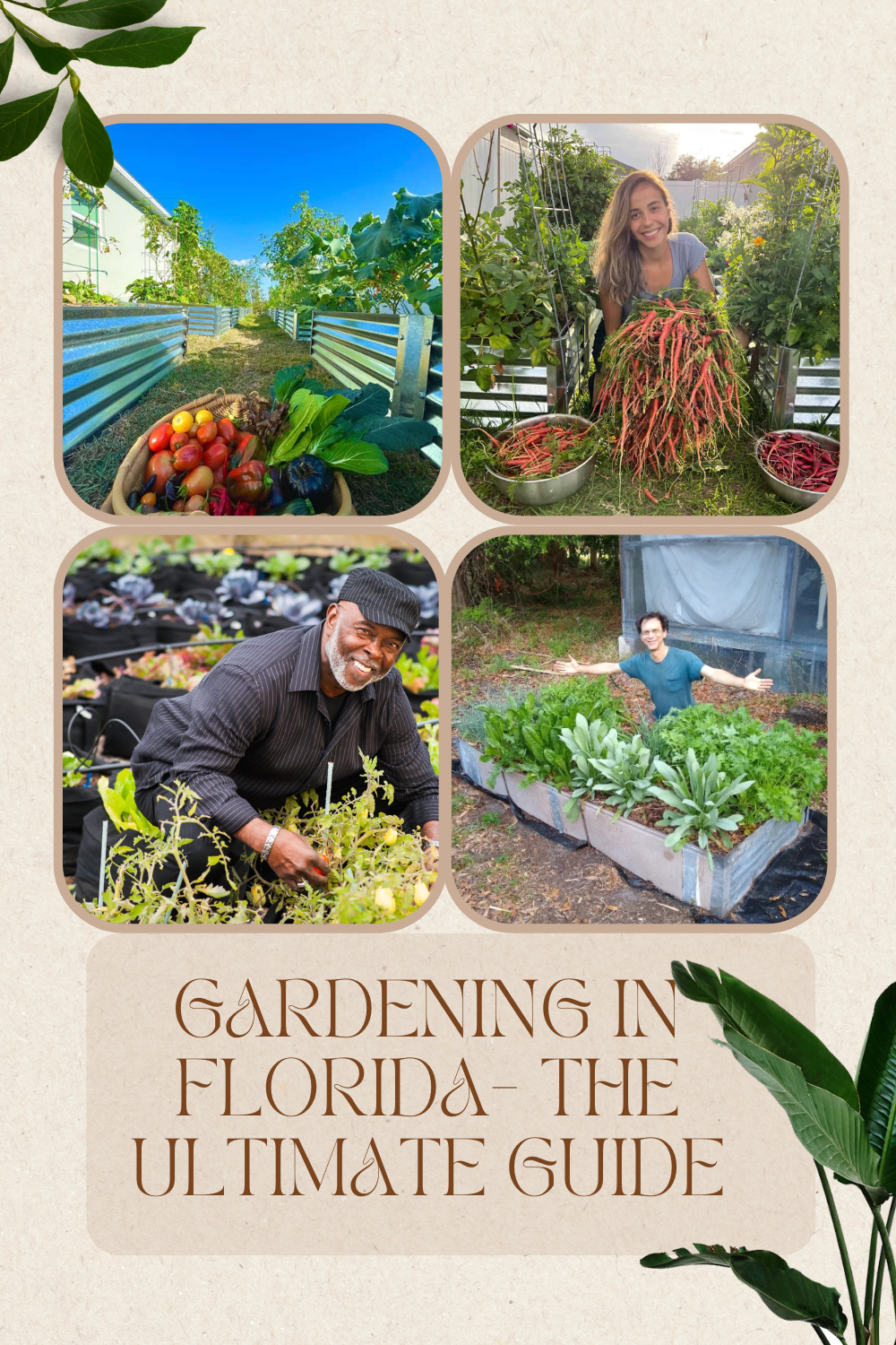 Gardening In Florida- The Ultimate guide