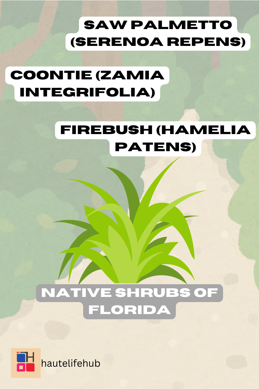 Native Shrubs of Florida (1)