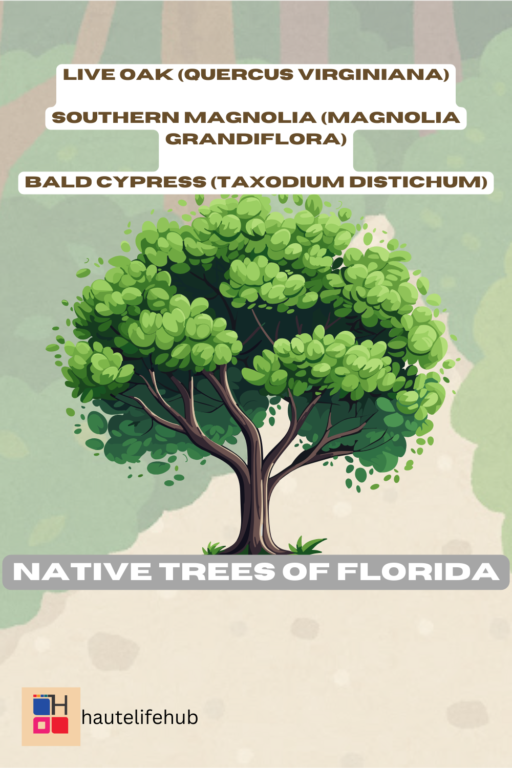 Native Trees of Florida