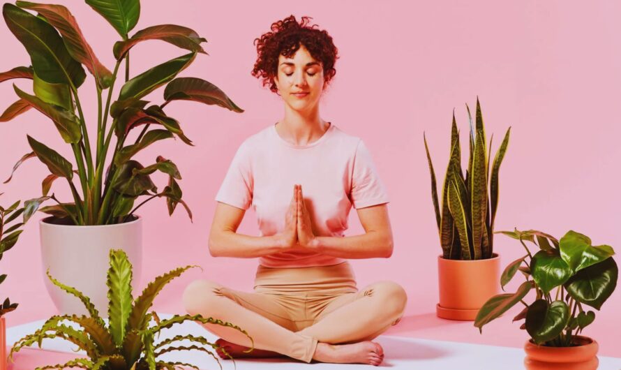 Top 10 Zen Plants for Tranquility: Creating a Serene Sanctuary