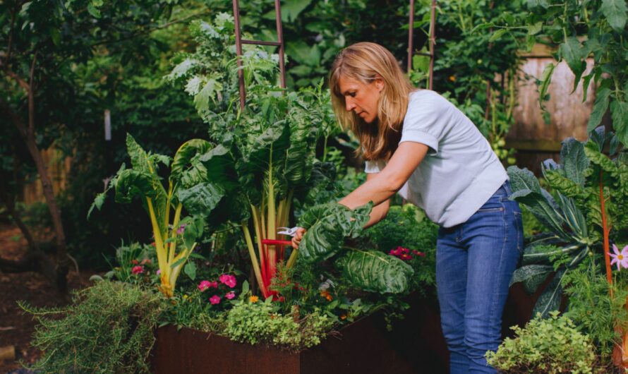 Top Plants for a Thriving Kitchen Garden: From Garden to TableTop