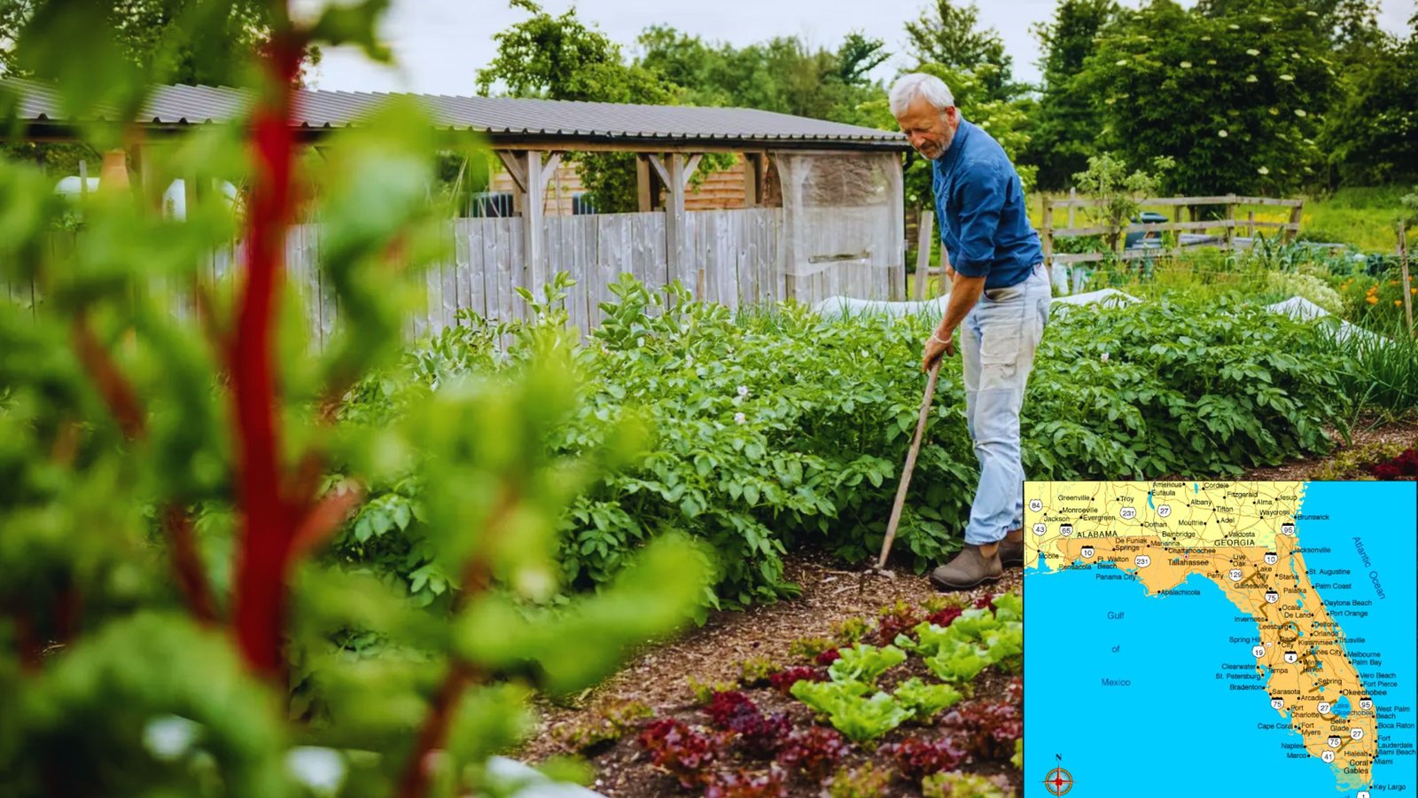 gardening in Florida