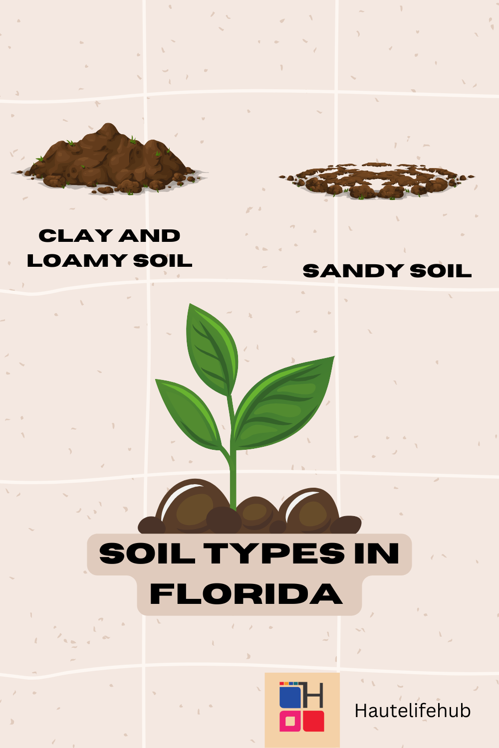 soil Types in Florida