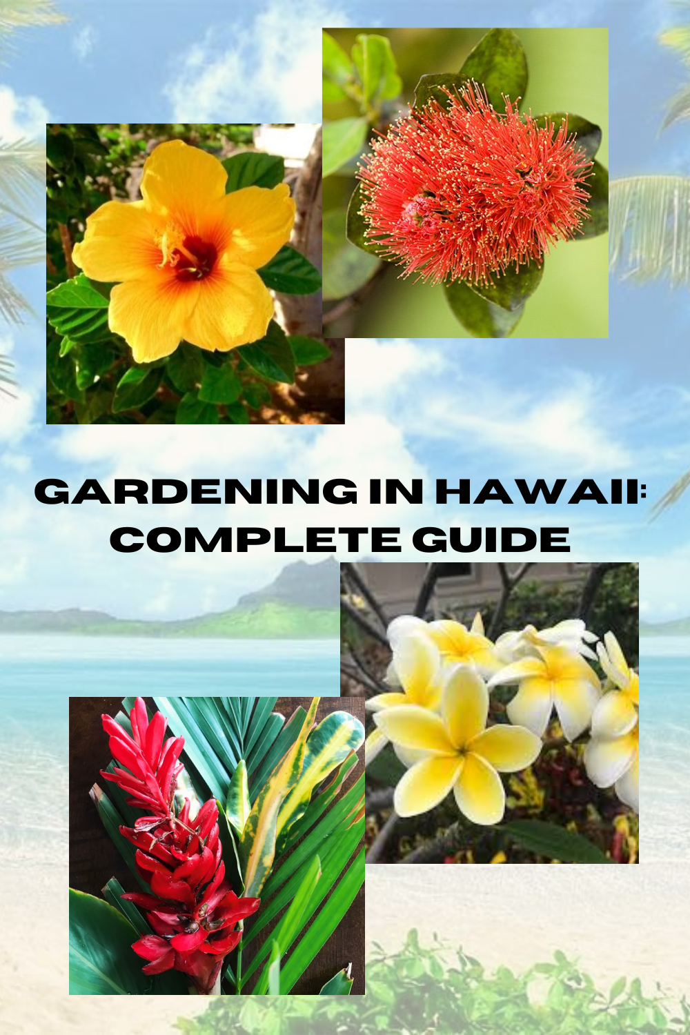 Gardening In Hawaii Complete Guide