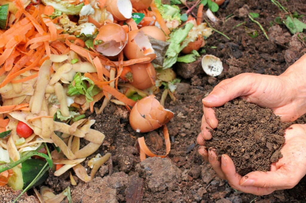 How to Start Your Own Compost Bin