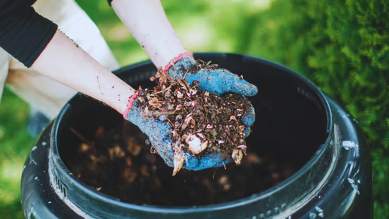 Composting at home