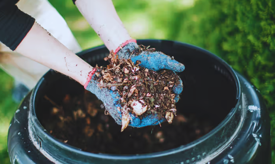 Composting at Home: Benefits and how to start your own compost bin