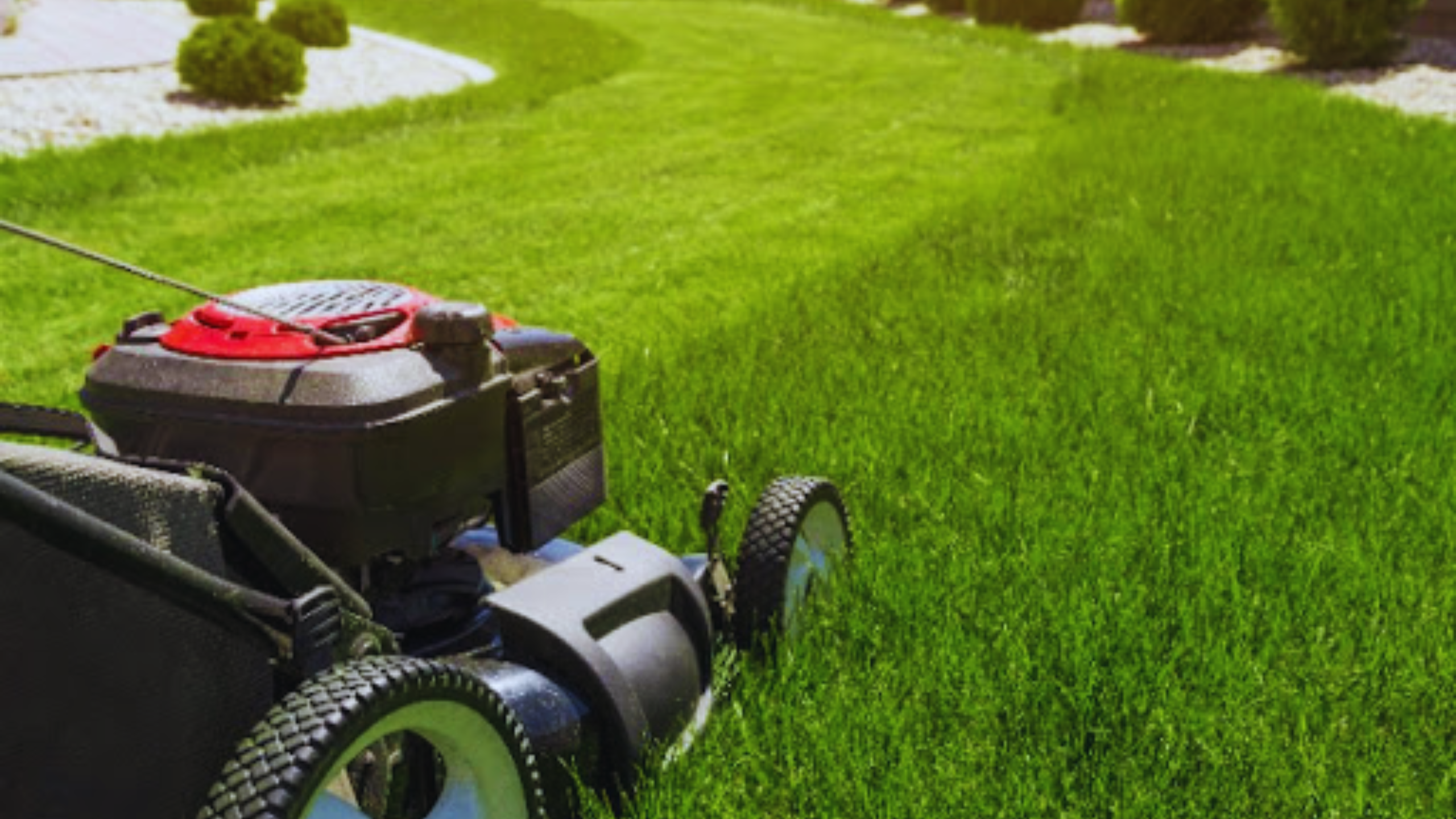 how to maintain lawn mowers