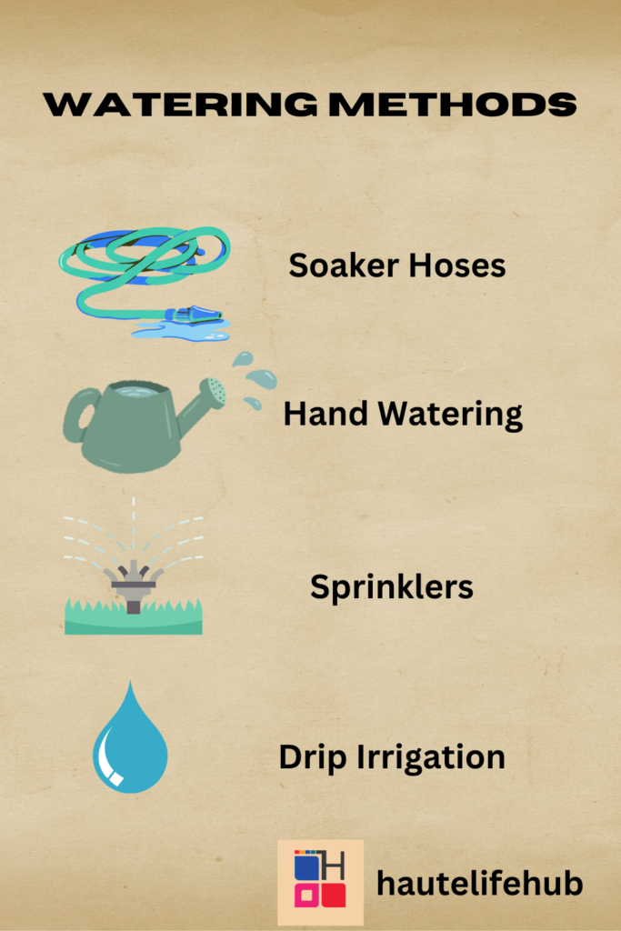 Watering Methods