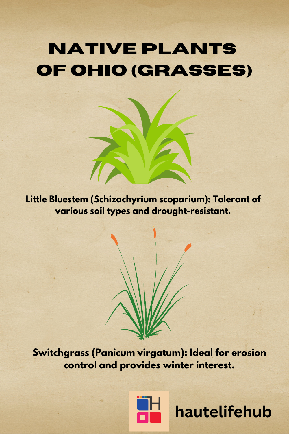Gardening in Ohio- Your Ultimate Guide - Haute Life Hub