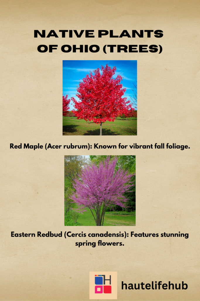 native trees of ohio
