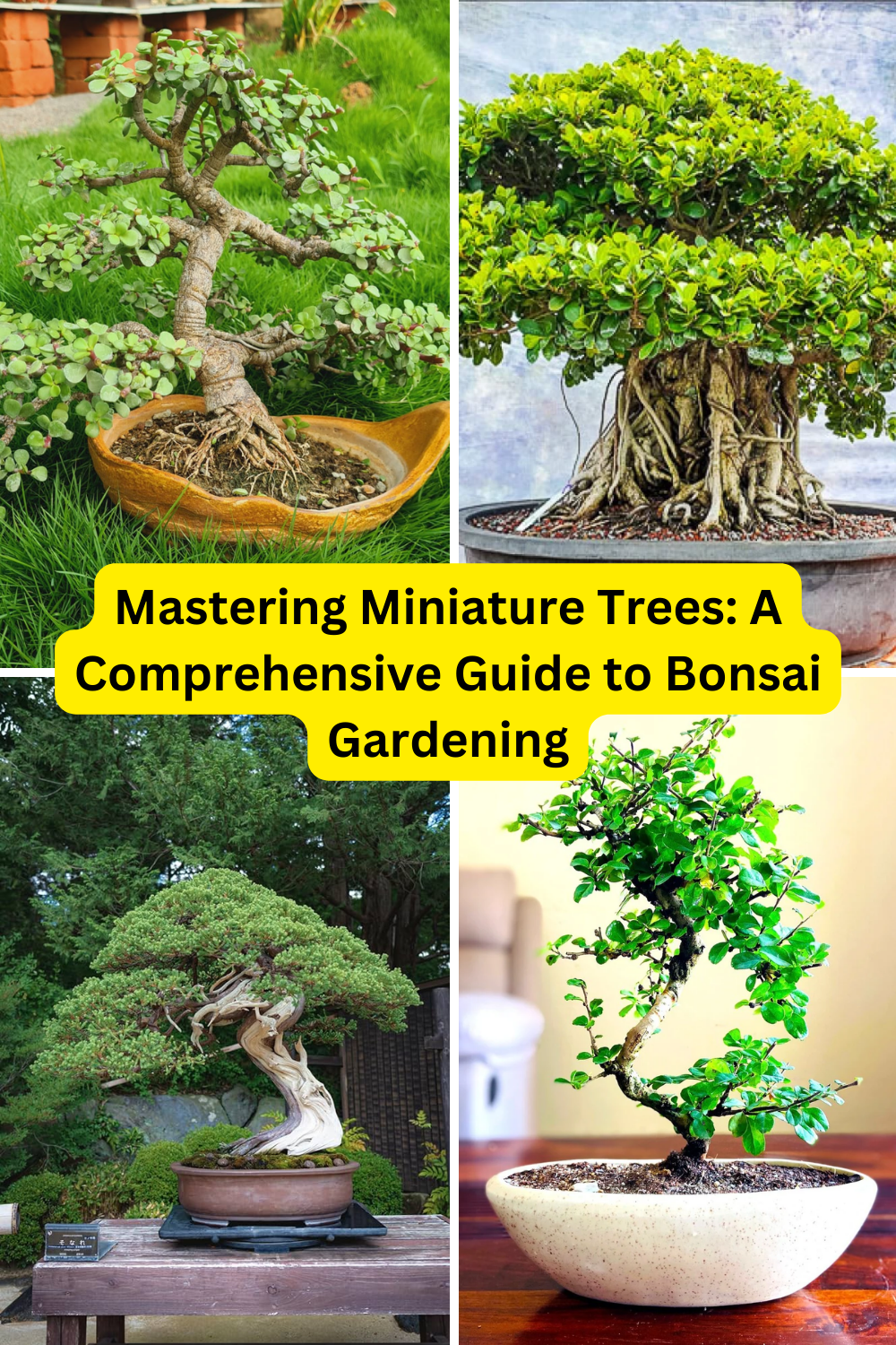 Mastering Miniature Trees: A Comprehensive Guide to Bonsai Gardening