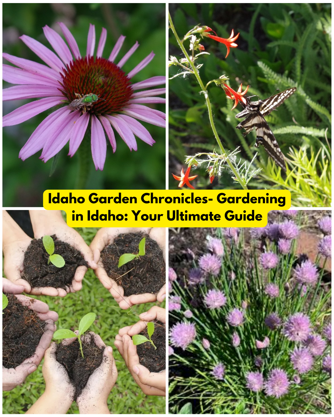 Gardening in Idaho is a rewarding experience, offering diverse landscapes from lush valleys to rugged mountains. Whether you're a novice or an experienced gardener, understanding Idaho's unique gardening conditions can help you achieve a thriving garden.