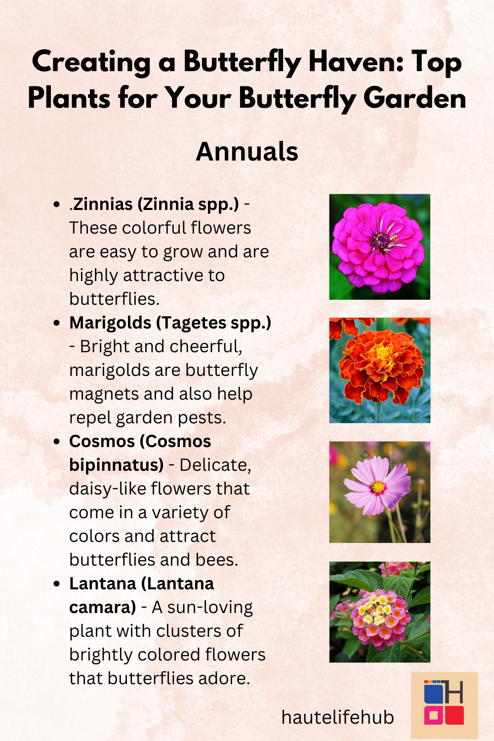 Annuals Butterfly Garden Guide  