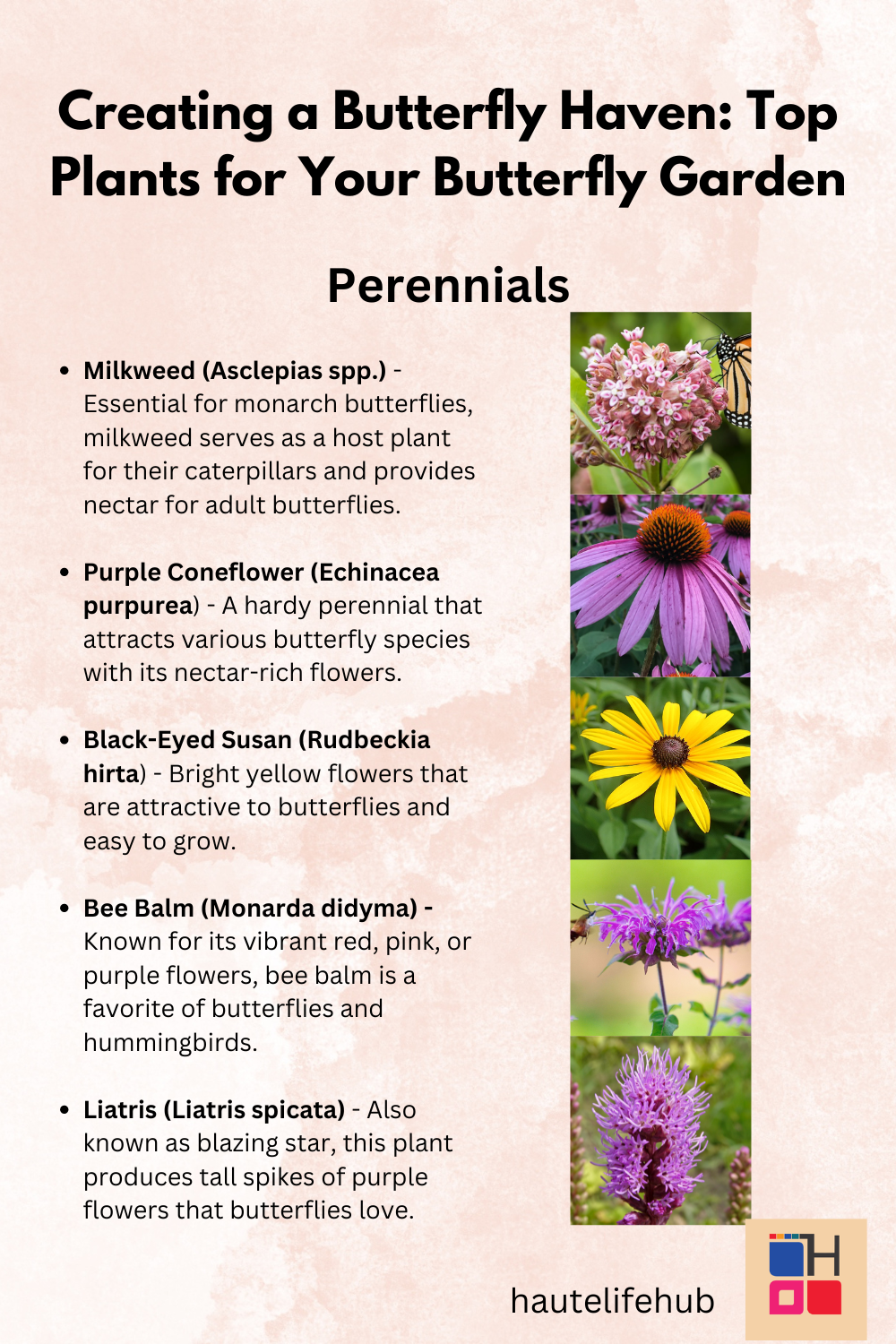 Perennials