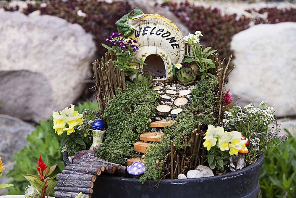 Designing Your Fairy Garden