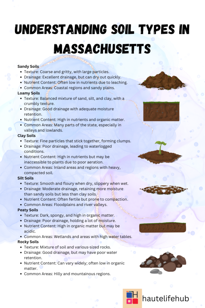 Understanding Soil Types in Massachusetts