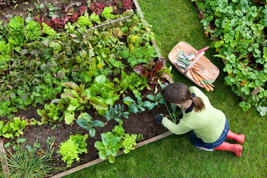 Edible Gardens