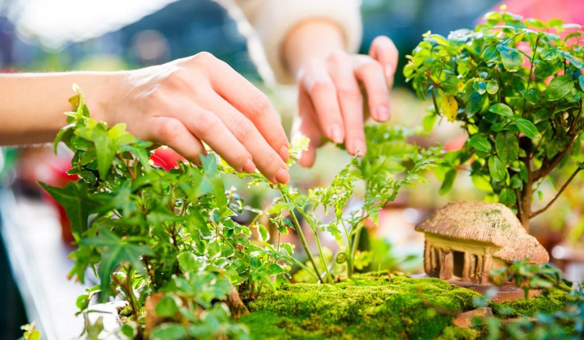 Maintaining Your Fairy Garden