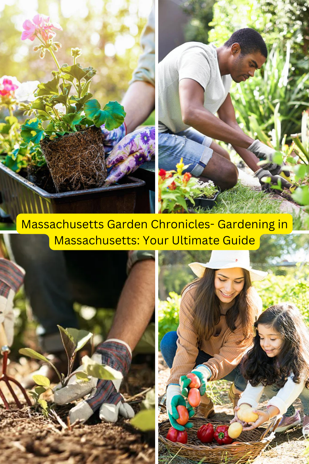 Massachusetts Garden Chronicles- Gardening in Massachusetts: Your Ultimate Guide