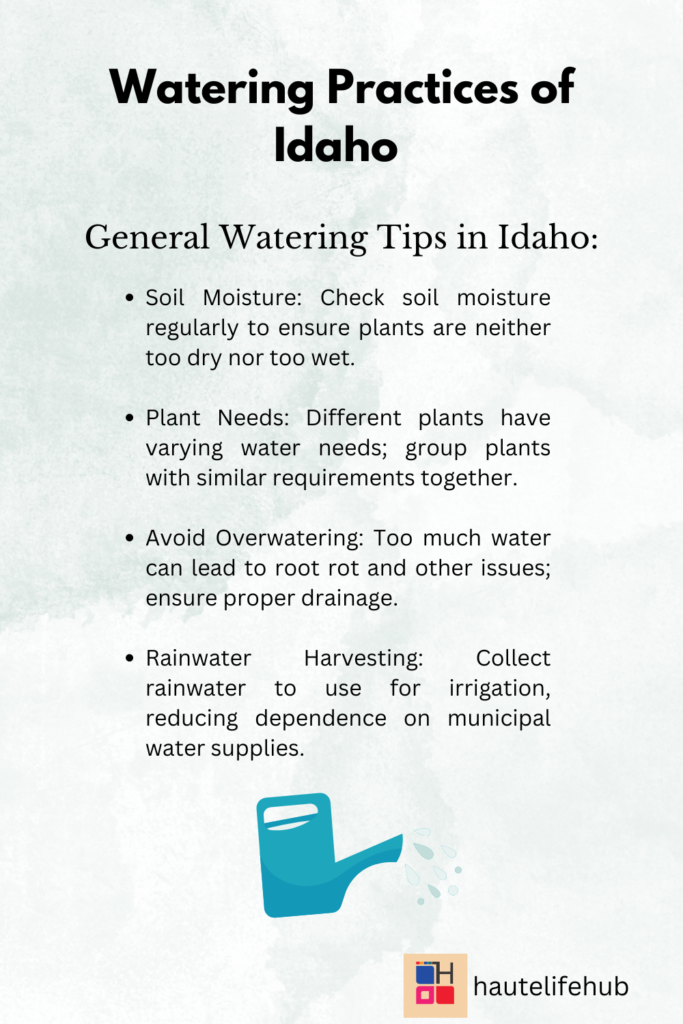 watering in Idaho 