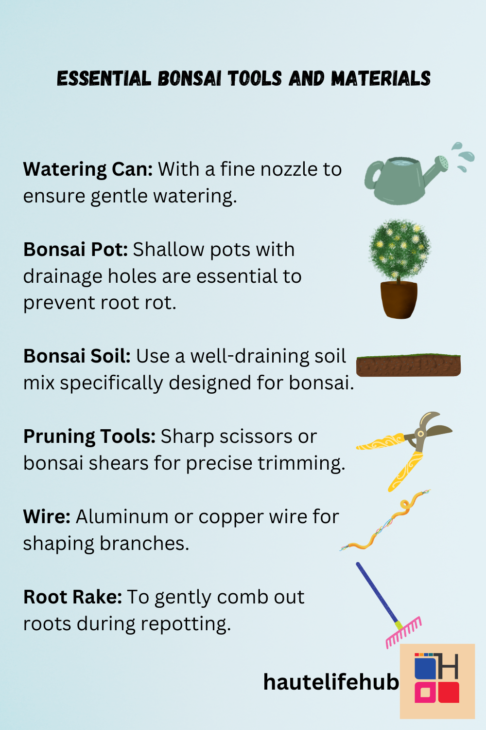 Essential Bonsai Tools and Materials