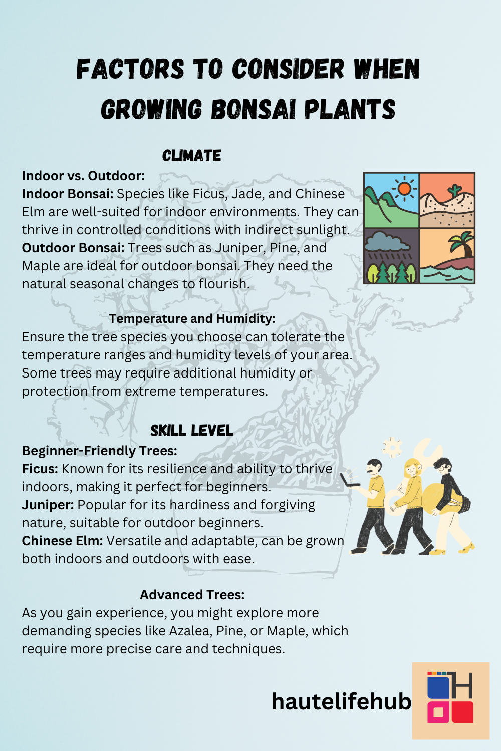 Factors to Consider When Growing Bonsai Plants