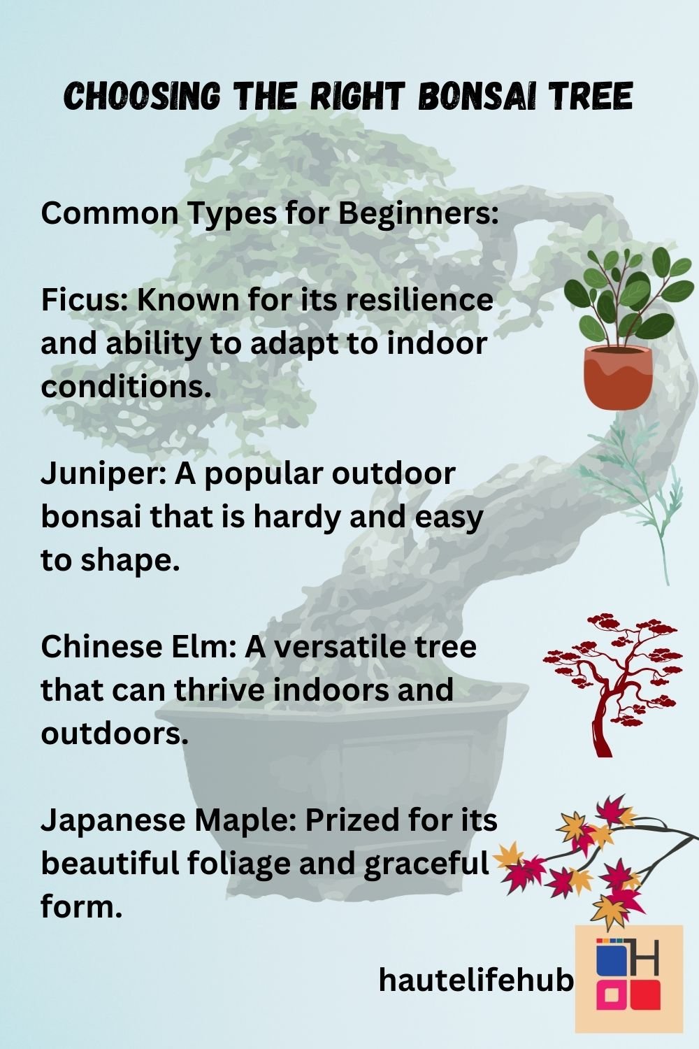 Choosing the Right Bonsai Tree