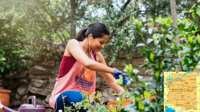 gardening in Arizona