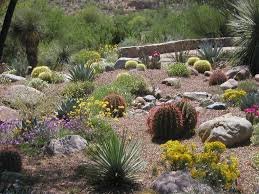 Xeriscape Gardens