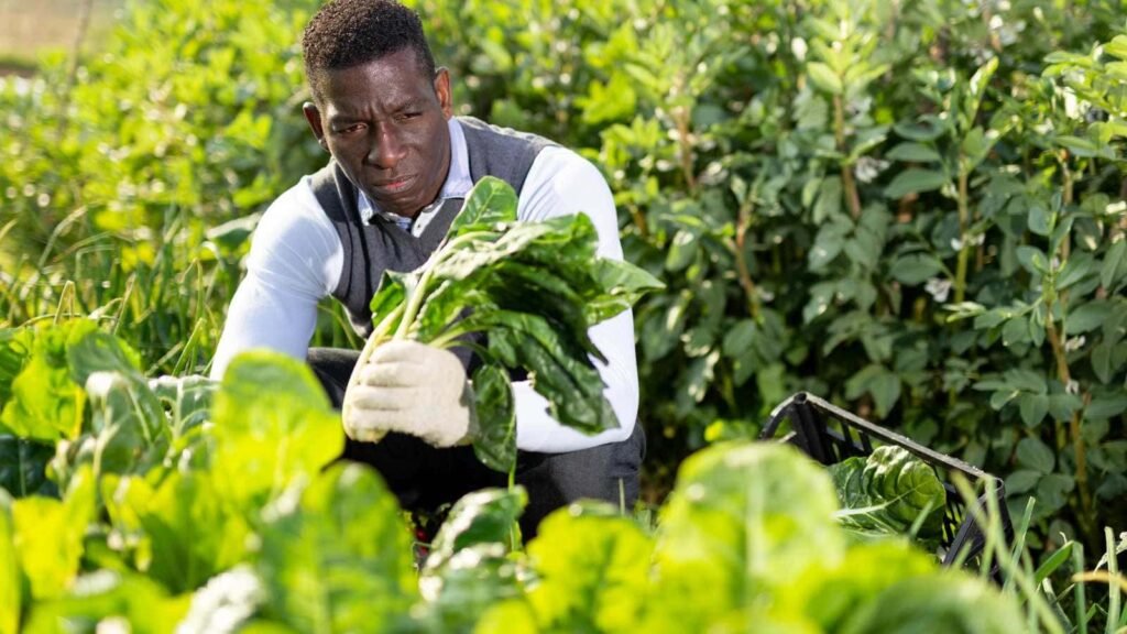 Gardening for Mental Health