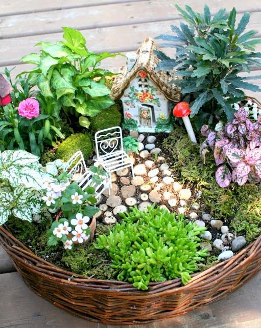 What is a Fairy Garden? 