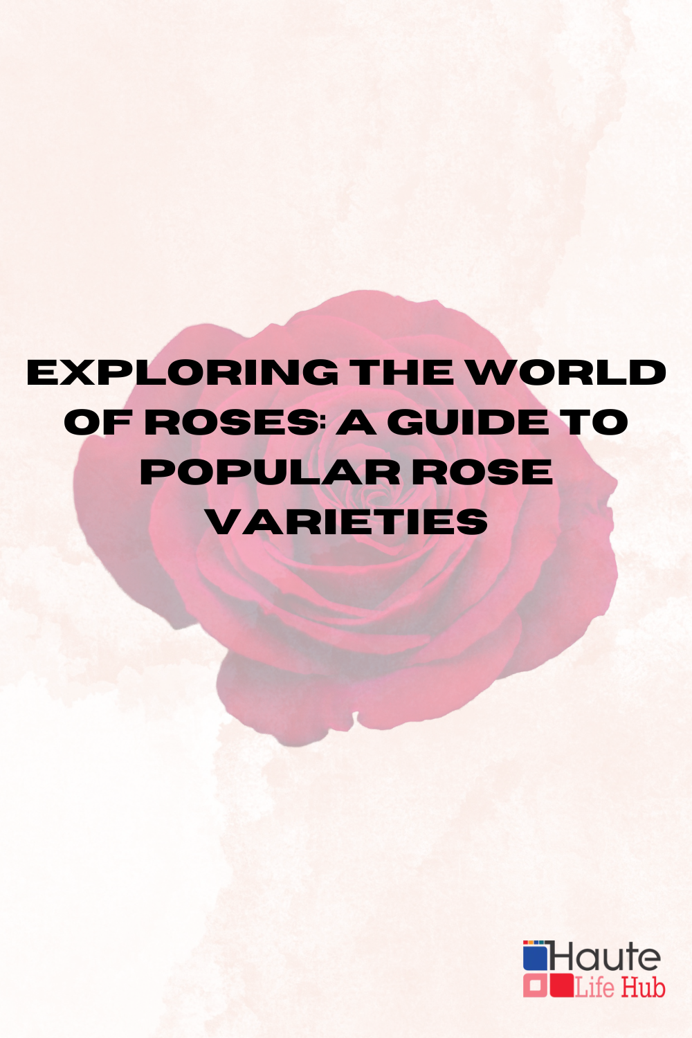 Exploring the World of Roses: A Guide to Popular Rose Varieties