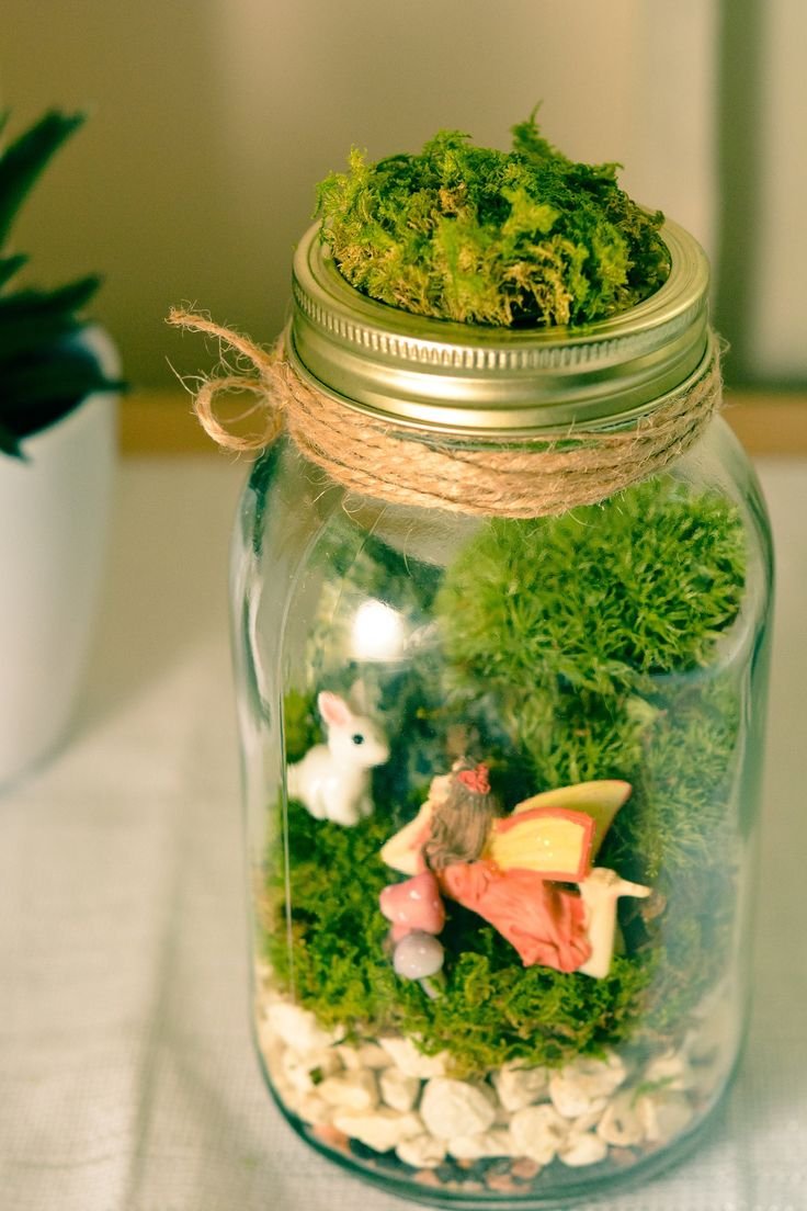 Jar terrarium