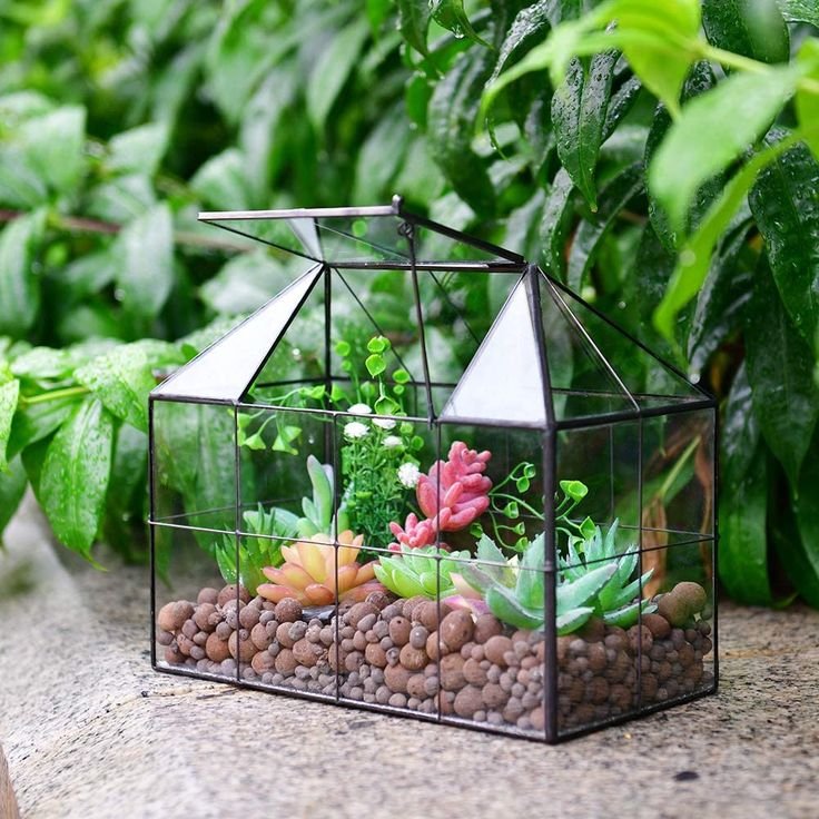 Mini greenhouse