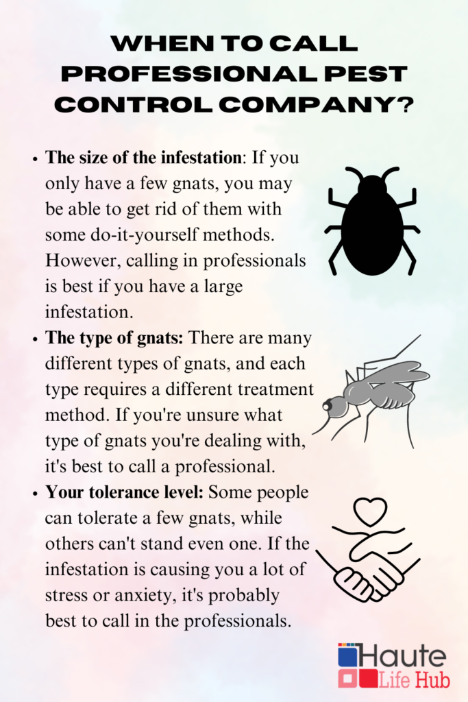 When to Call Professional Pest Control Company?