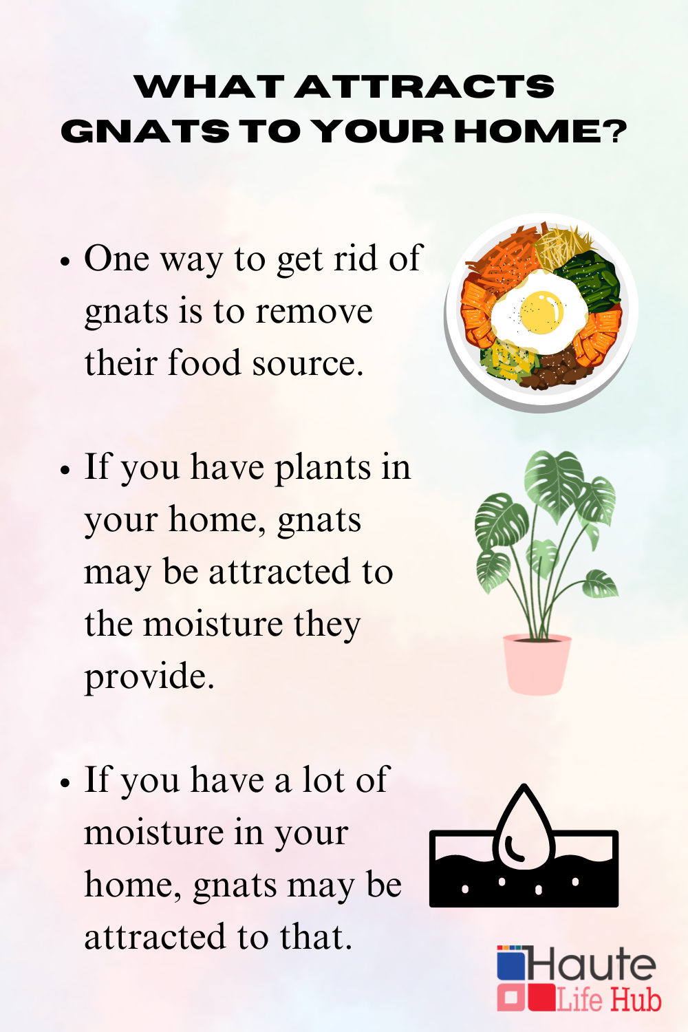 What attracts Gnats to your home