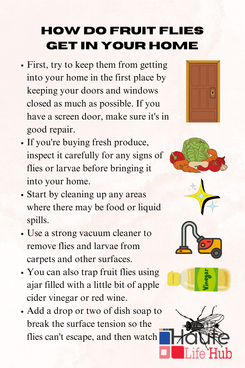 How do fruit flies get in your home