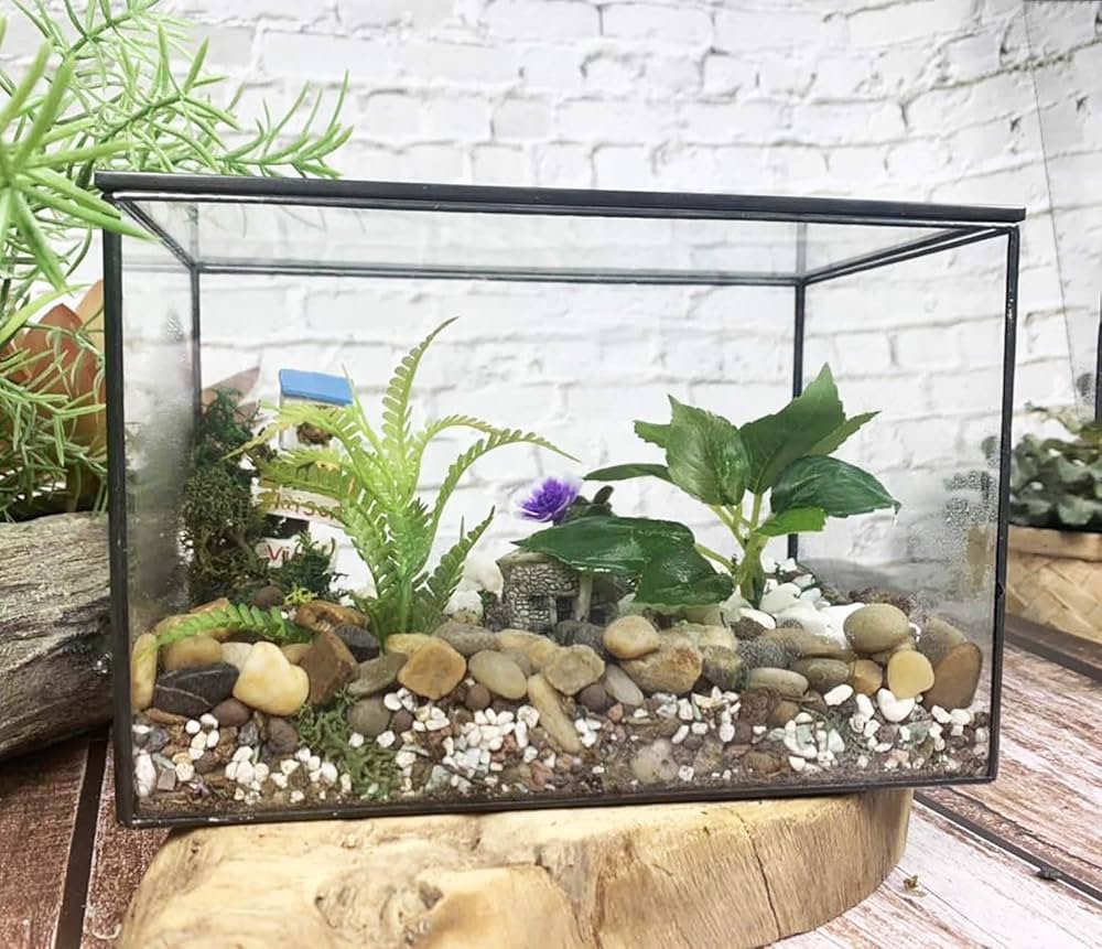 landless terrarium 