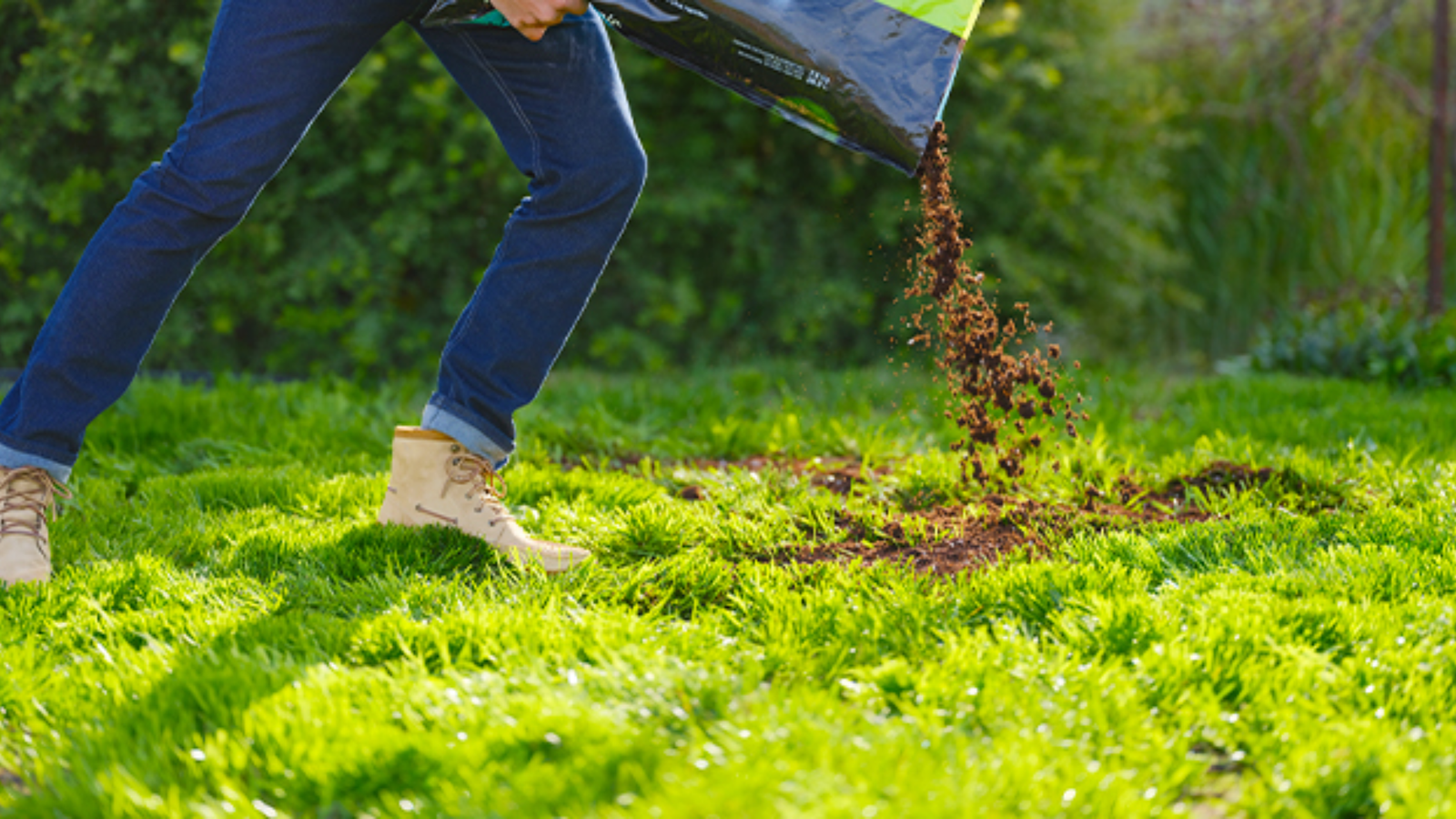 What is Peat Moss and How to Use It In Gardening