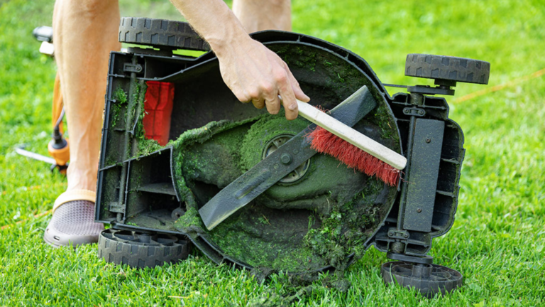 Maintain Lawn Mower Blades