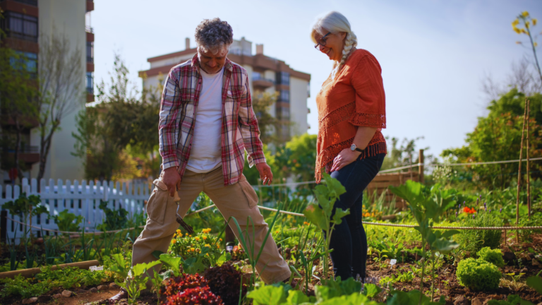 Autumn Gardening Guide