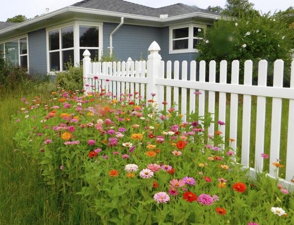 Wildflower Meadow Lawn Mowing Alternatives 